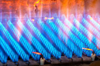Gelli Haf gas fired boilers